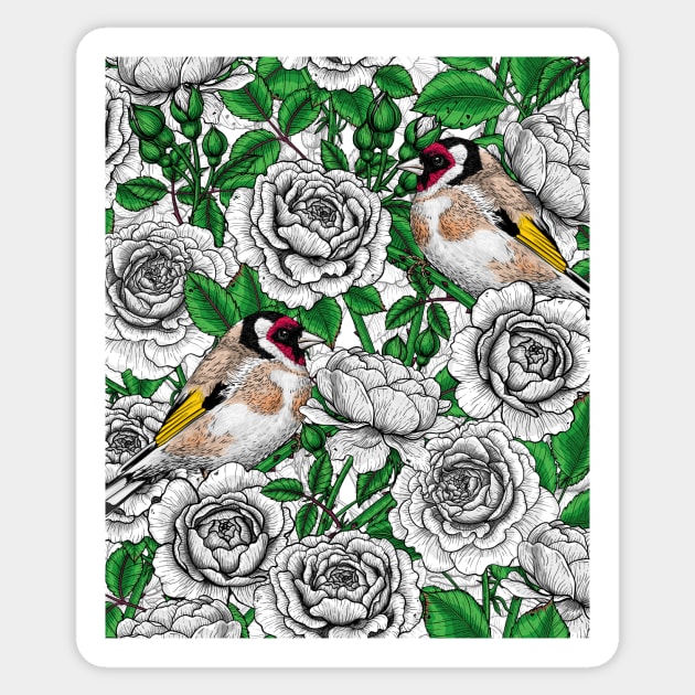 White Rose flowers and goldfinch birds Sticker by katerinamk